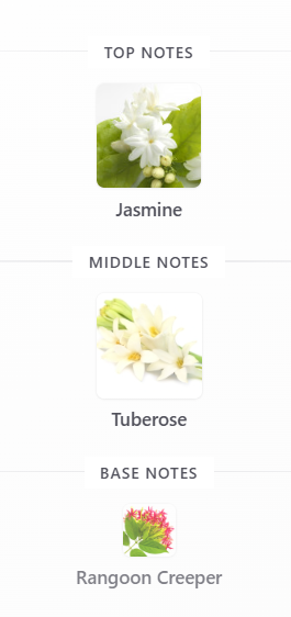 Gucci Bloom Gucci