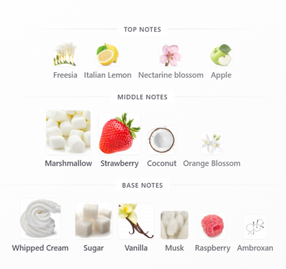 Yum Boujee Marshmallow | 81 Kayali